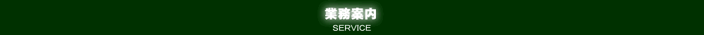 業務内容